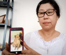 Kasus Pencurian Anjing Peliharaan di Pekanbaru Terus Berjalan, Merry Gho Apresiasi Kinerja Aparat Hukum
