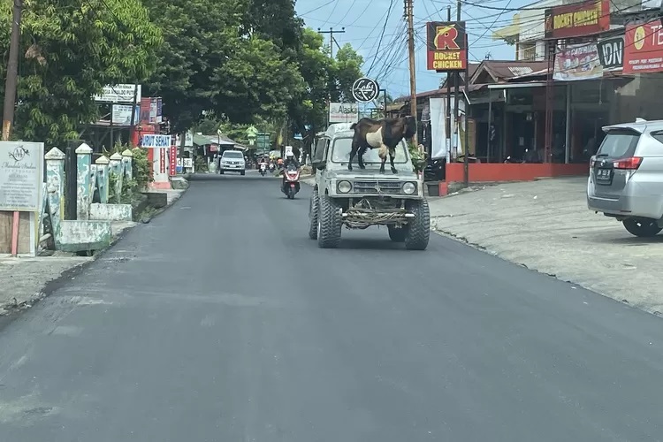 Sinergi Dinas PUPR dan Pemprov Riau, Jalan Pekanbaru Mulus dan Nyaman