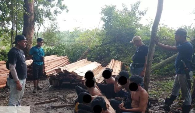 Polsek Singingi Hilir Ungkap Kasus Illegal Logging di SM Rimbang Baling, Tujuh Pelaku Diamankan