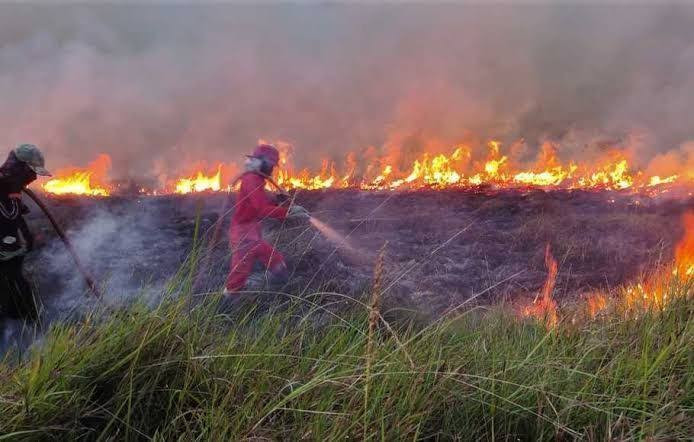 8 Kecamatan di Pekanbaru Rawan Karhutla