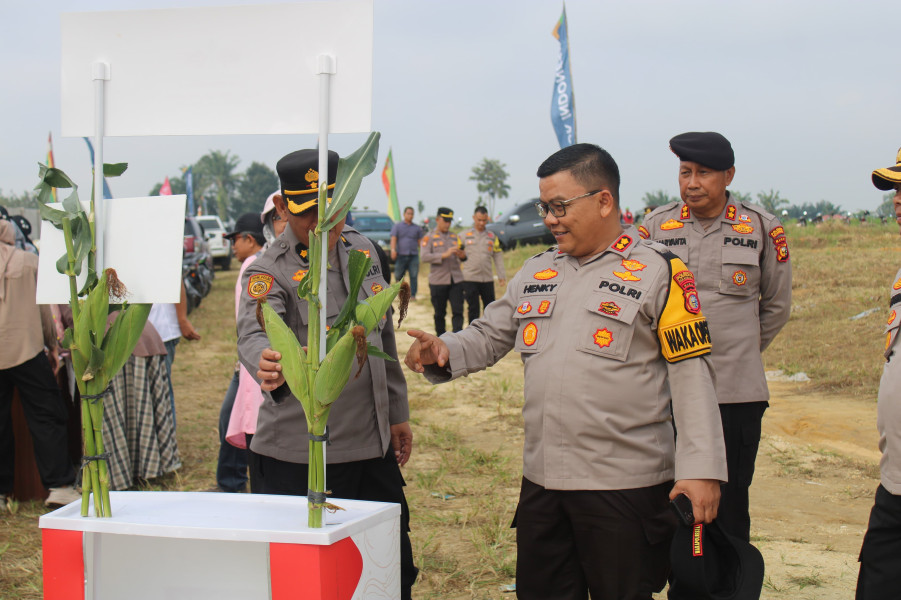 Polresta Pekanbaru dan Pemko Dorong Swasembada Pangan Lewat Gerakan Tanam Jagung