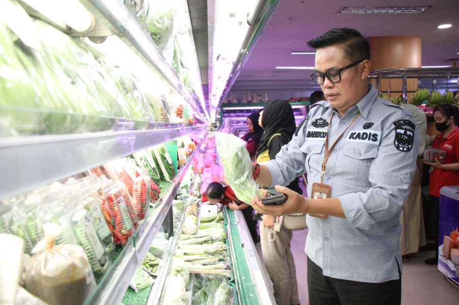 DKP Pekanbaru Sosialisasikan Keamanan Pangan di Pasar Buah