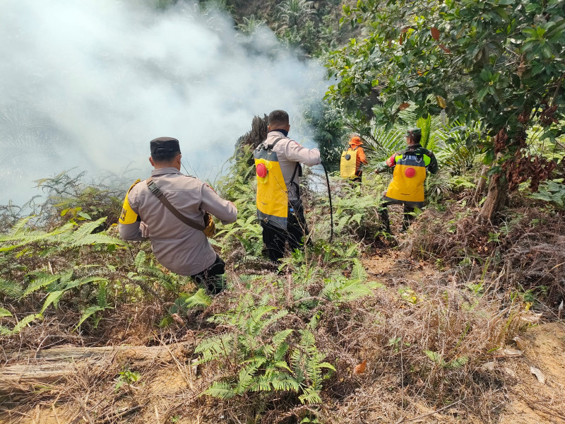 Kebakaran Lahan di Rokan IV Koto, Polres Rohul dan Satgas Karhutla Gerak Cepat Padamkan Api