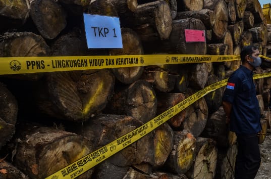 Tim Gabungan Bongkar Illegal Logging di Kampar Kiri Hulu