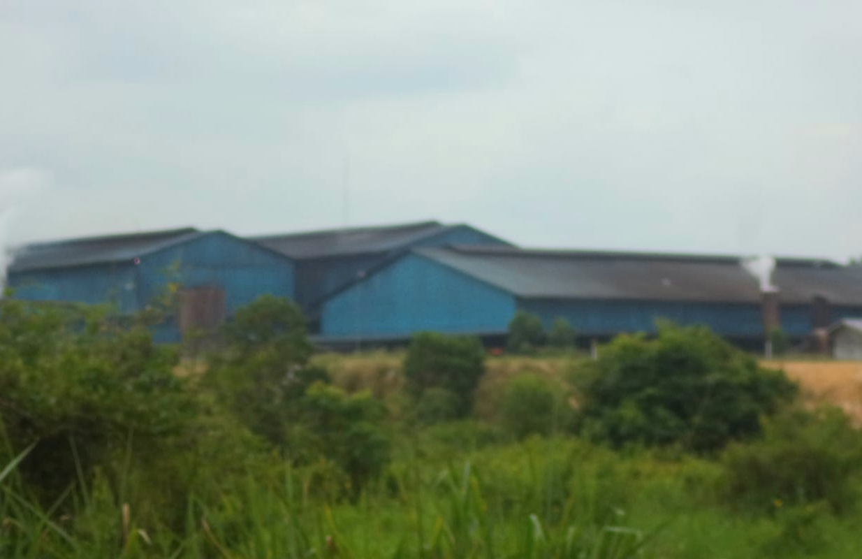 Komisi II DPRD Kabupaten Bengkalis Akan Sidak ke PKS PT SIPP Rangau