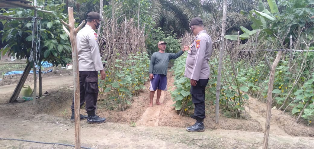 Polsek Pangkalan Lesung Cek Ketahanan Pangan di Wilayah Setempat
