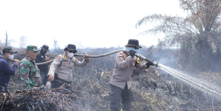 Empat Hektare Lahan Gambut Kecamatan Pinggir Bengkalis Terbakar