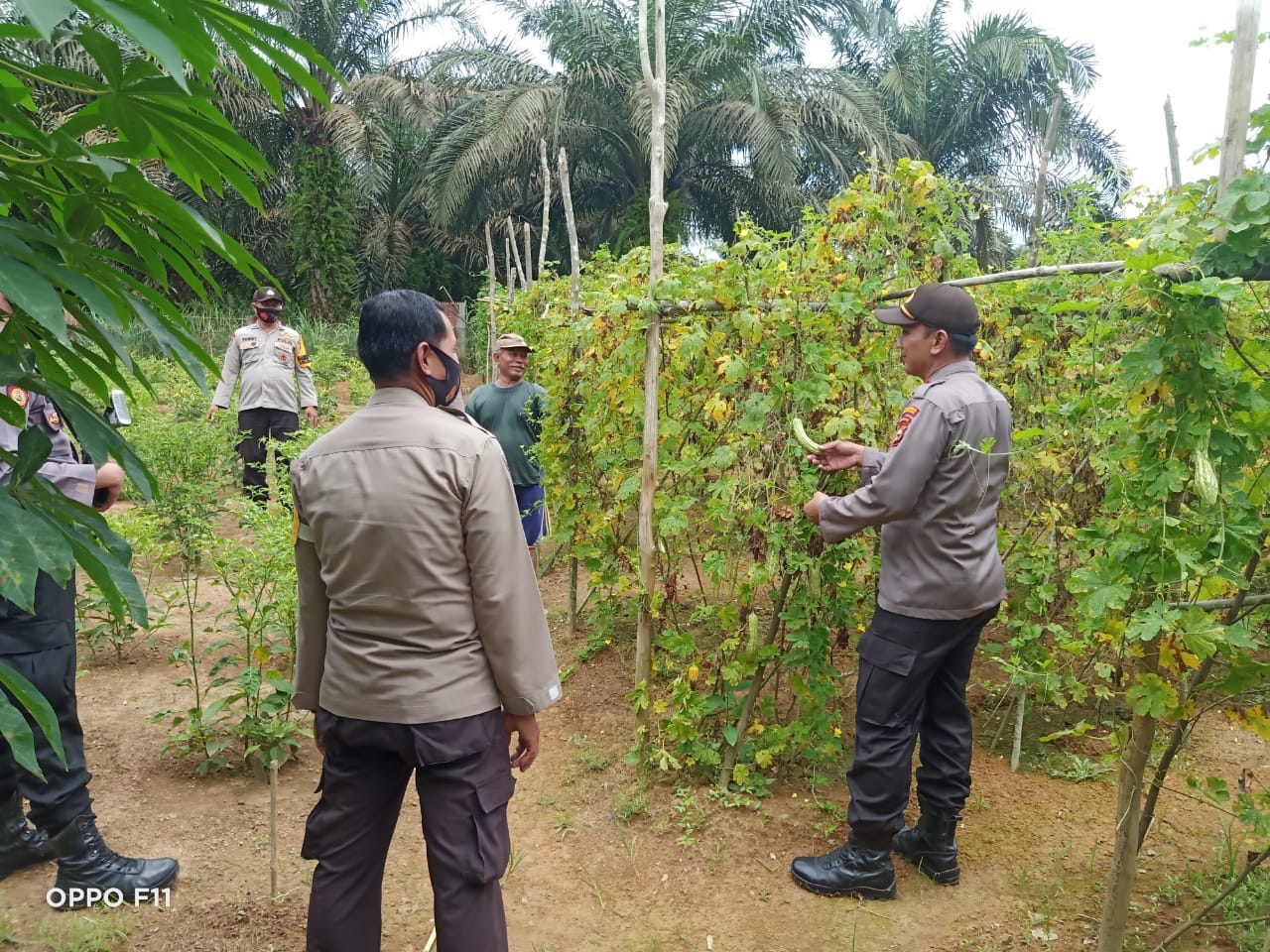 Polsek Pangkalan Lesung Cek Ketahanan Pangan di Desa Mulya Subur