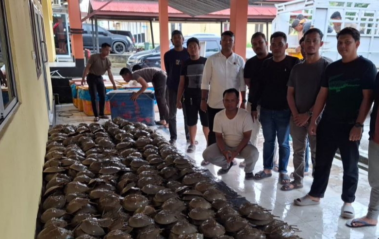 Polsek Panipahan Ungkap Perdagangan Satwa Dilindungi, Satu Tersangka Diamankan