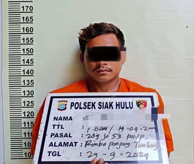 Coba Cabuli Istri Almarhum Teman, Tofik Diringkus Polisi
