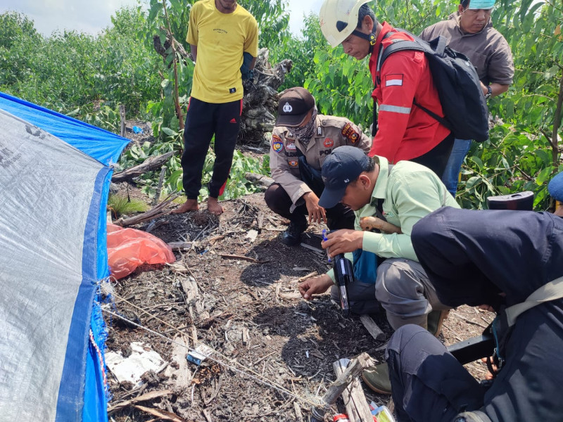 Ngeri! Pekerja HTI di Pelalawan Terluka Parah Usai Diserang Harimau Saat Tidur