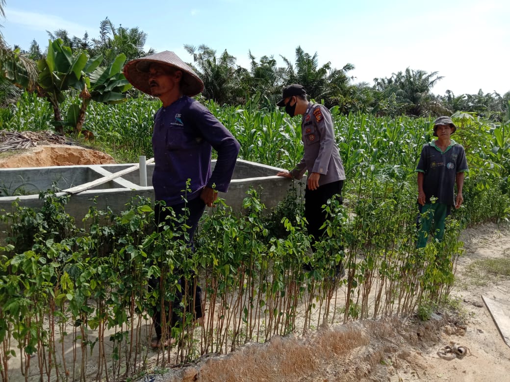 Polsubsektor Pelalawan Terus Pantau Program Kampung Tangguh