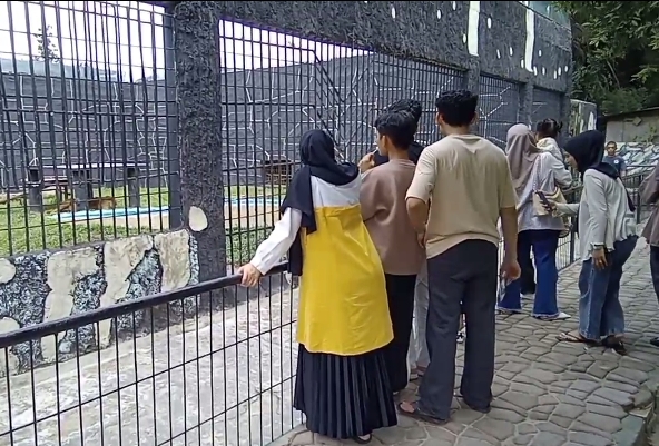 Kasang Kulim Zoo Kebanjiran Pengunjung di Libur Nataru