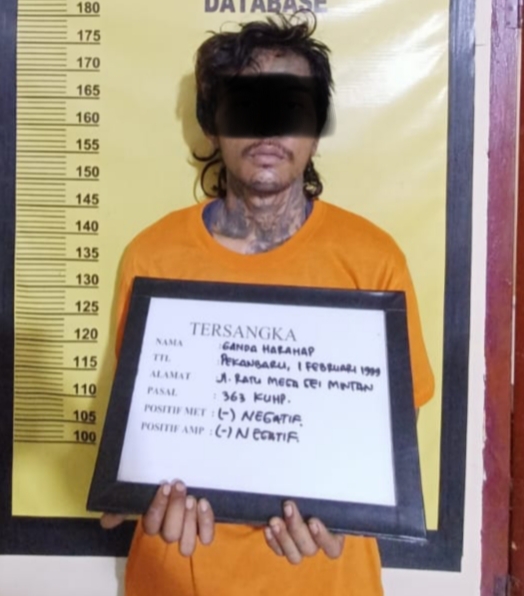 Curi Sepeda motor Warga di Pekanbaru, Pria Bertato Ditangkap Polisi