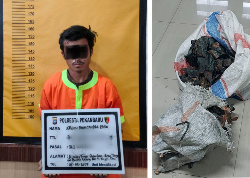 Polisi Tangkap Pria Pencuri Lempengan Tembaga dari Tugu Zapin