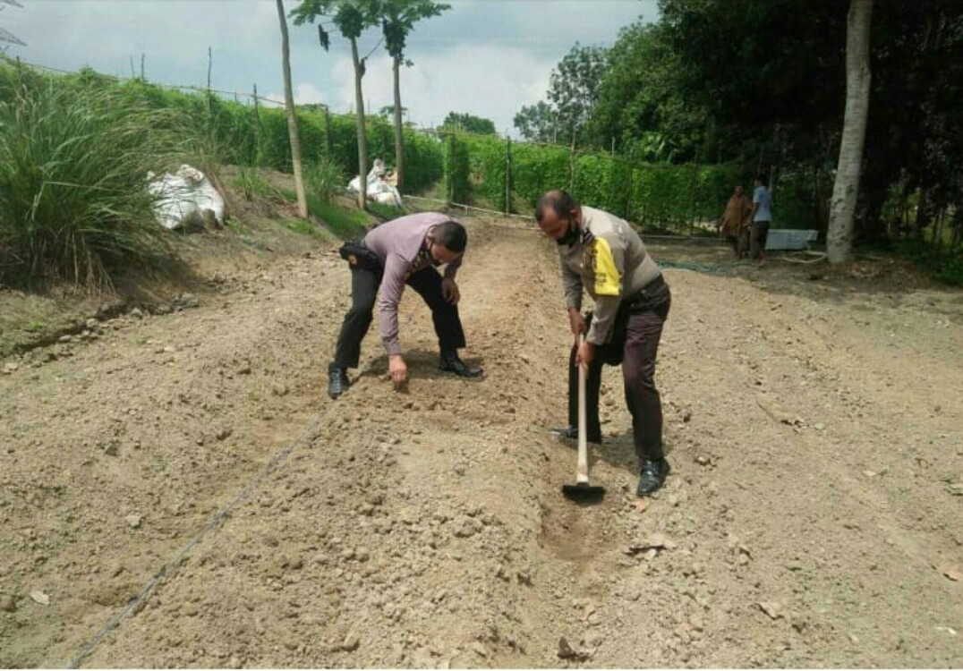 Polsek Bandar Sei Kijang Membantu Kelompok Tani Bercocok Tanam