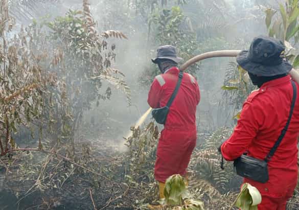 Karhutla Mulai Ancam Riau, Kebakaran Lahan Gambut di Dumai Masih Berlangsung