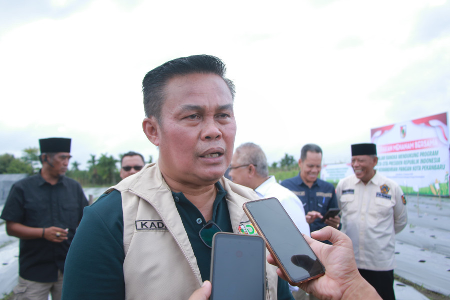 Pemko Pekanbaru Dorong Kemandirian Pangan melalui Program Tanam Pangan Massal