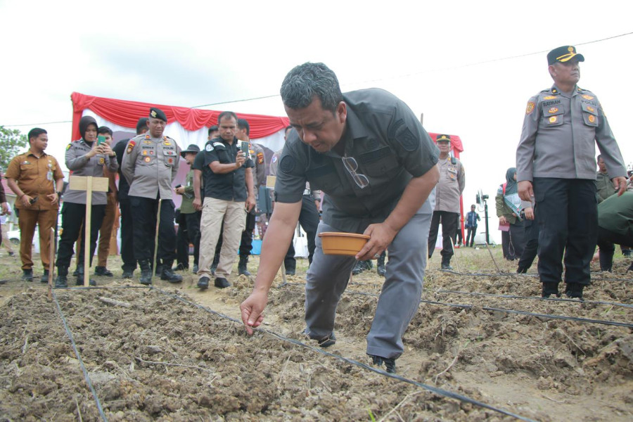 Pemko Pekanbaru Dukung Program Penanaman Jagung Serentak Satu Juta Hektare untuk Kemandirian Pangan Nasional