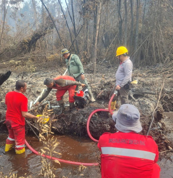 27 Hektare Lahan di SM Giam Siak Kecil Terbakar