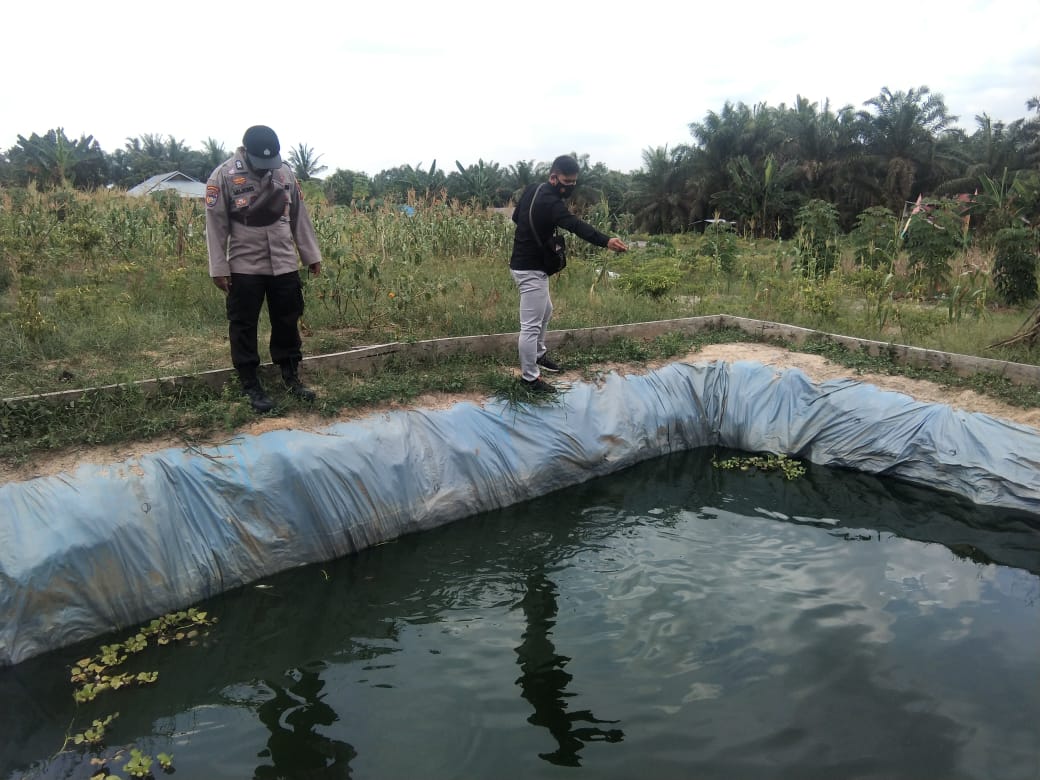 Jaga Ketahanan Pangan, Polsek Kerumutan Galakan Program Perkebunan dan Perikanan