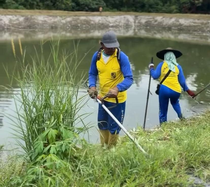 Antisipasi Banjir, Pasukan Kuning Dinas PUPR Kota Pekanbaru Bersihkan Rumput Liar di Sekitar Waduk Cipta Karya
