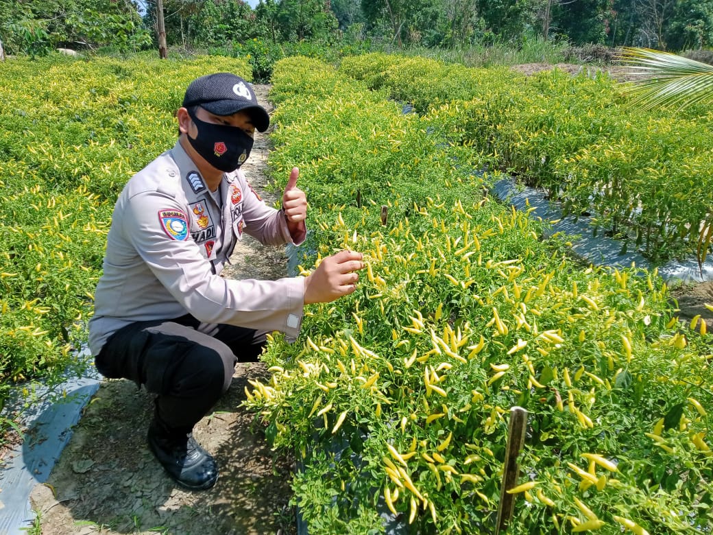 Polsek Bunut Lakukan Pengecekan Salah Satu Program Kampung Tangguh