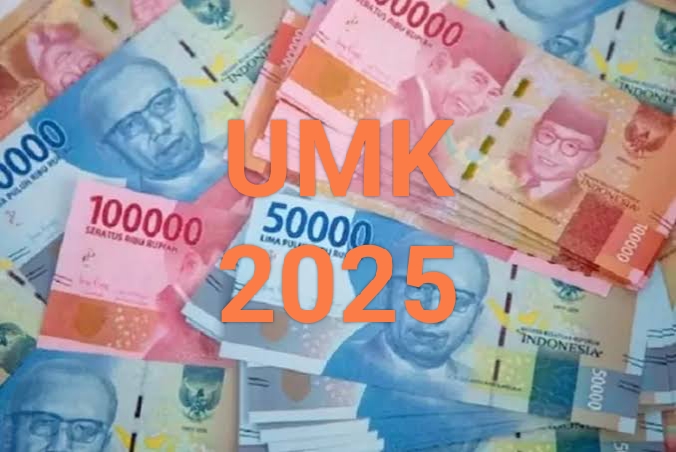 Kenaikan 6,5 Persen, UMK Pekanbaru Tahun 2025 Tembus Rp3,6 Juta