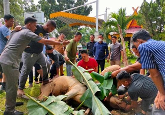 Sekretariat DPRD Pekanbaru Sembelih Hewan Kurban