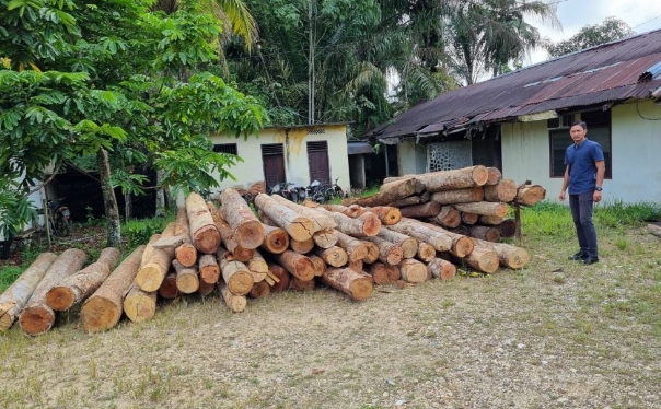 Puluhan Tual Kayu Disita Dari Tiga Sawmill di Kampar Kiri