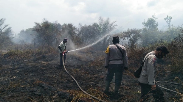 Karhutla Terjadi di 3 Daerah Wilayah Riau, Satgas Gabungan Gerak Cepat Padamkan Api