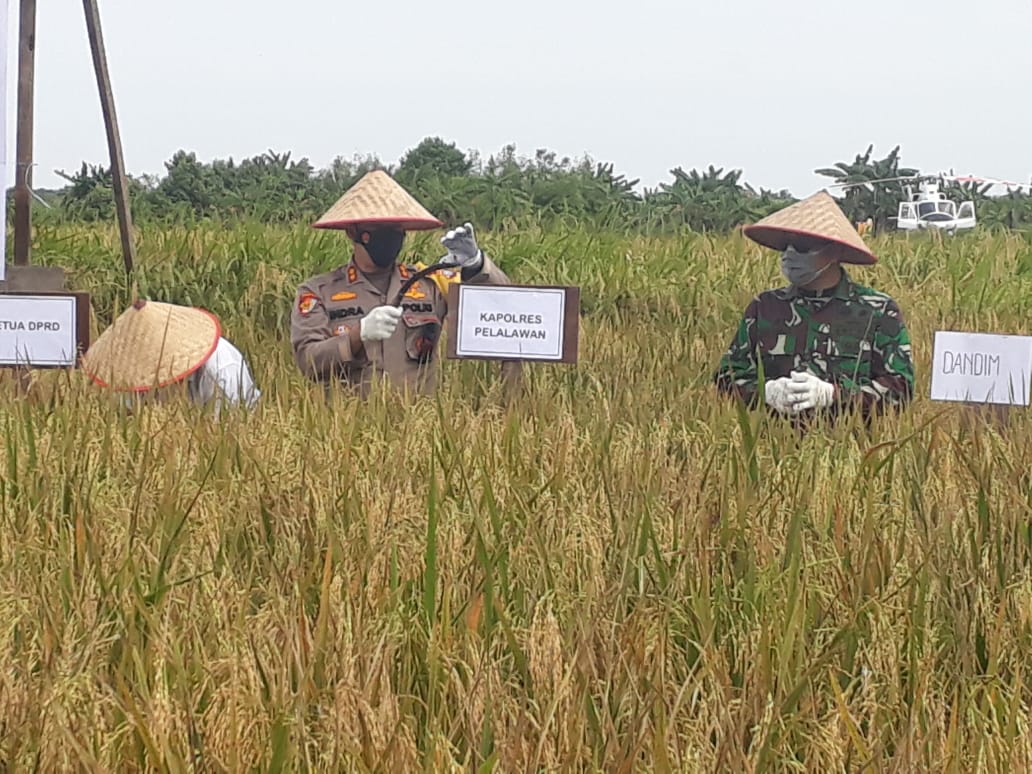 Polsek Kuala Kampar Sambut dan Dampingi Kunjungan Kerja Wagubri