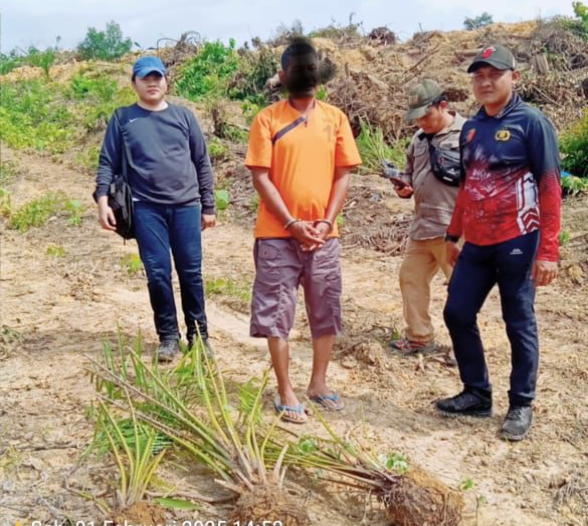 Polisi Tangkap Pria yang Diduga Garap Kawasan Hutan Secara Ilegal di Inhu