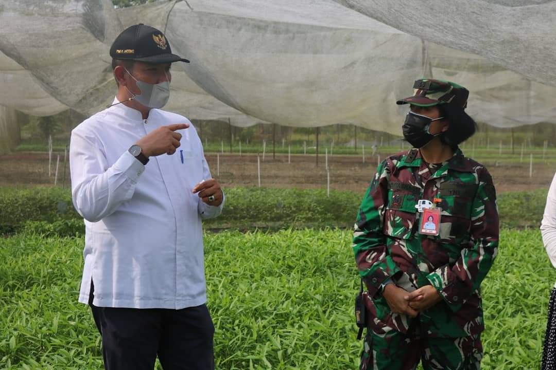 Kebun Mustang Lanud Rsn Terbaik di Pekanbaru, Disketapang : Kita Kembangkan Kawasan Mandiri