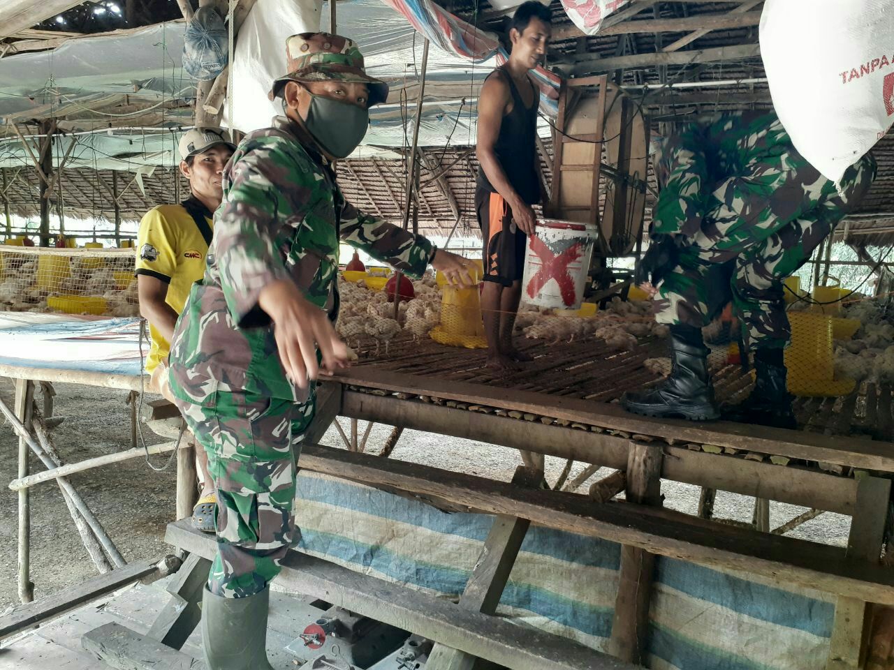 Babinsa Koramil 16/Tapung Silahturahmi dengan Pemilik Ayam Potong