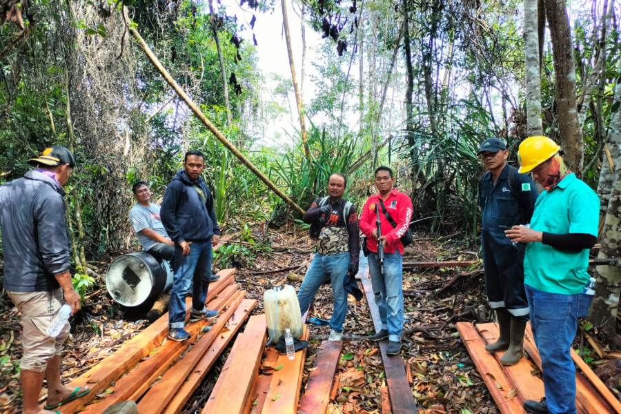 Hutan Konsesi di Desa Tamiang Dirambah, Lima Pelaku Pembalak Liar Ditangkap
