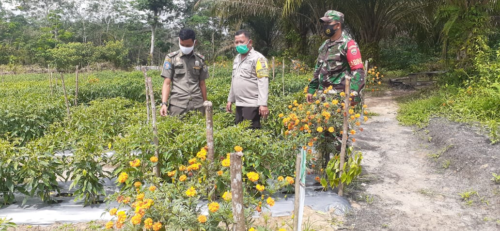 Polsek Bunut Lakukan Peninjauan Kampung Tangguh di Desa Angkasa