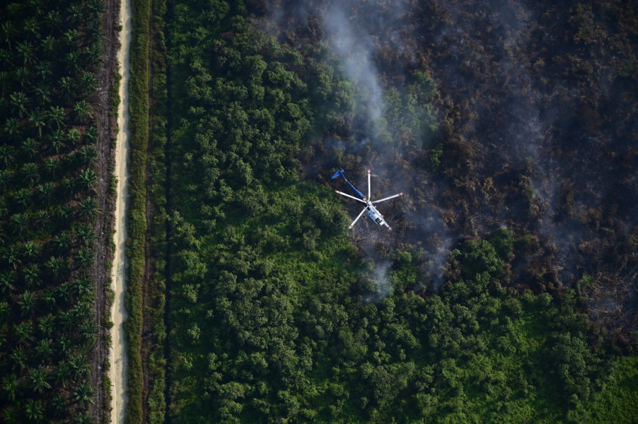 Patroli Udara Pantau Kondisi Hutan dan Lahan, TNI AU Deteksi Puluhan Titik Api di Riau