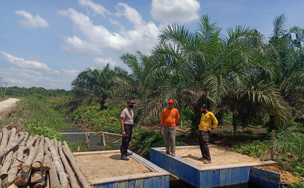 Cegah Karhutlah Polsubsektor Pelalawan Lakukan Patroli dan Sosialisasi