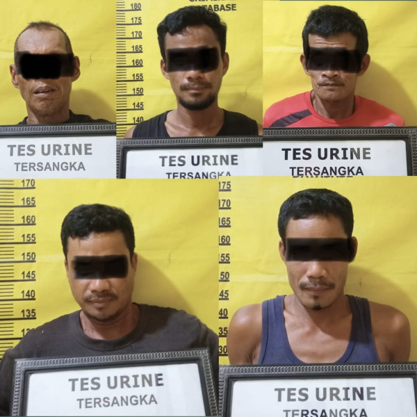 Lima Pencuri Buah Sawit di Inhu Diringkus Polisi, Positif Sabu