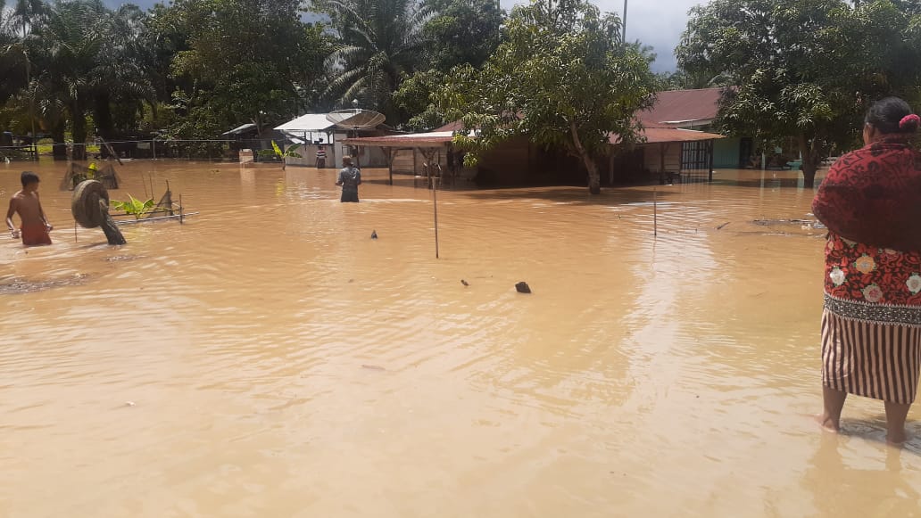 Diguyur Hujan Satu Jam, Banjir Genangi Puluhan Rumah di Talang Muandau