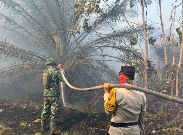 26 Hektare Lahan di Rohil Terbakar, Satgas Karhutla Berjibaku Padamkan Api