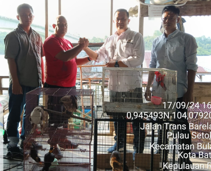 Berkat Laporan Warga, Satwa Dilindungi Milik Ketua RT di Rempang Cate Disita