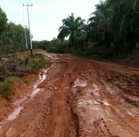 Jalan Gajah Mada KM 35 Hancur, Masyarakat Harapkan Ada Perbaikan