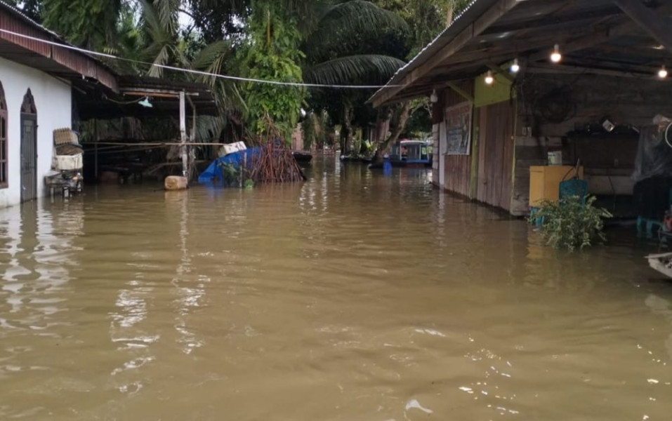 Banjir Terjang Desa Buluh Cina: 319 Rumah dan Ratusan Hektar Lahan Pertanian Terendam