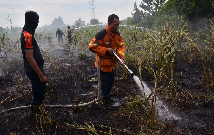 8 Daerah Riau Tetapkan Siaga Darurat Karhutla