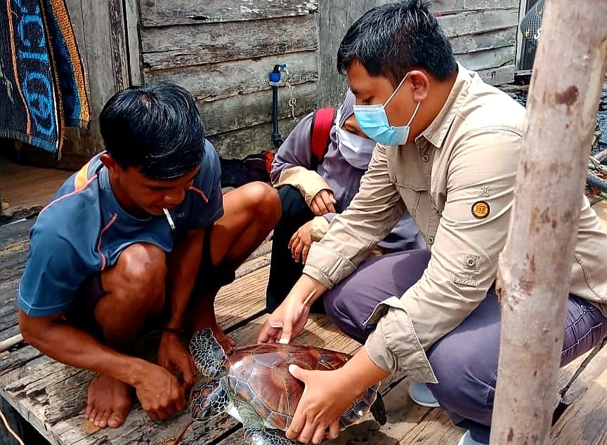 Nelayan Sadar Konservasi Serahkan Penyu Dilindungi
