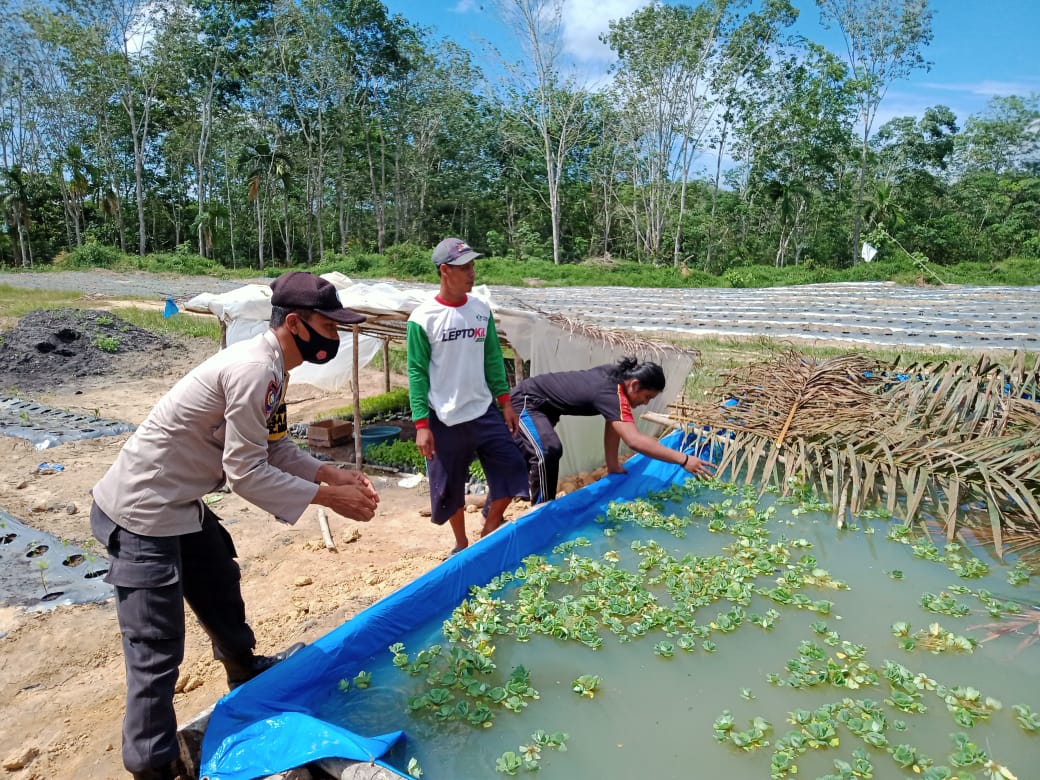 Polsek Bunut Memantau Program Kampung Tangguh di Wilayah Binaan