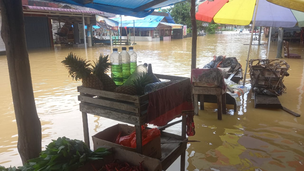 Banjir Rendam Lima Desa di Kampar Akibat Meluapnya Sungai Subayang