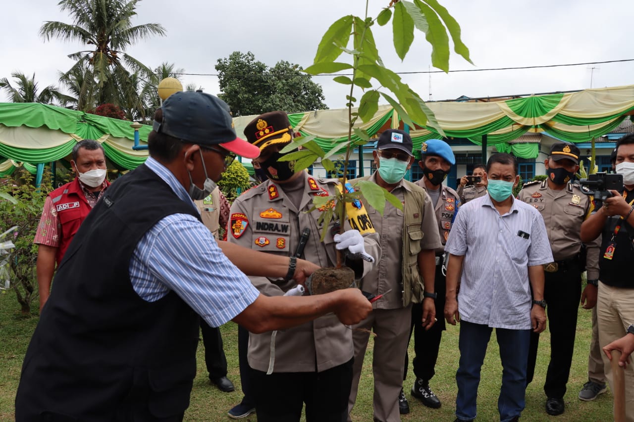 Kapolres Pelalawan Tinjau Vaksinasi Massal Nasional di PT Serikat Putra